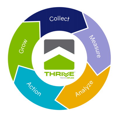 Thrive Flywheel (Surveys)