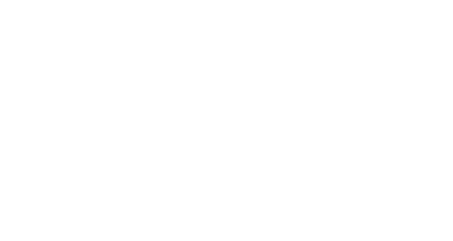 20th Anniversary Logo Vertical White