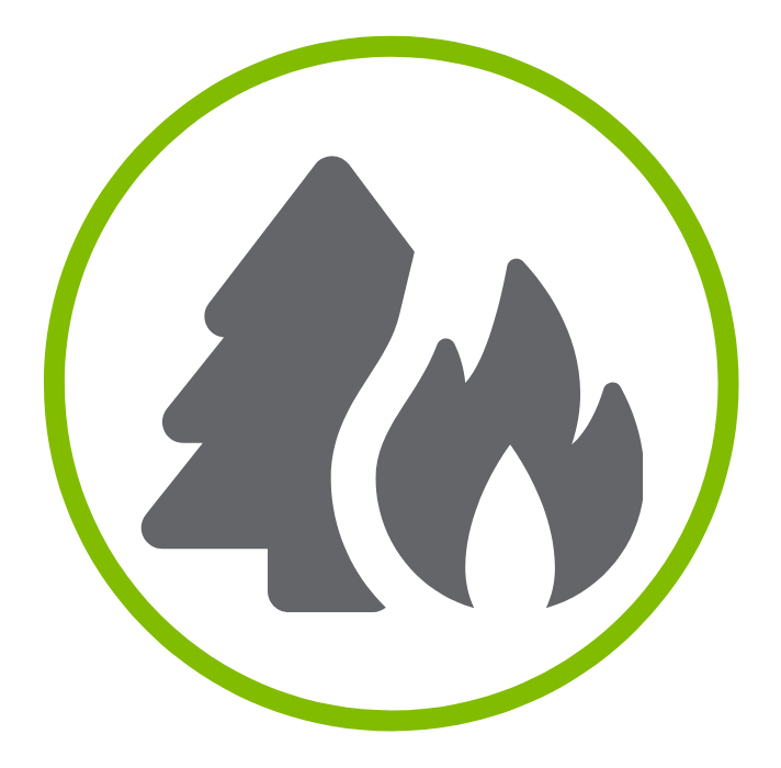 Wildfire Icon-1